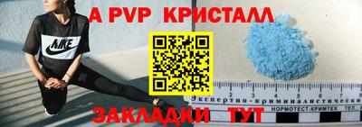 СК Новокубанск