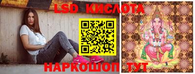 ГАЛЛЮЦИНОГЕННЫЕ ГРИБЫ Новозыбков